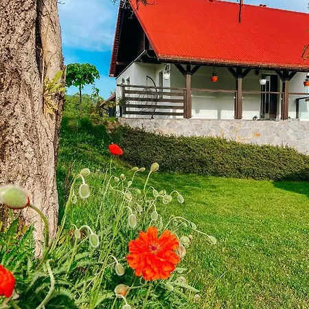 Chalet Malinowa Osada Wisla