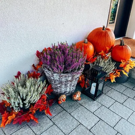 Malinowa Osada 샬레 *