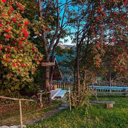 شاليه Malinowa Osada *