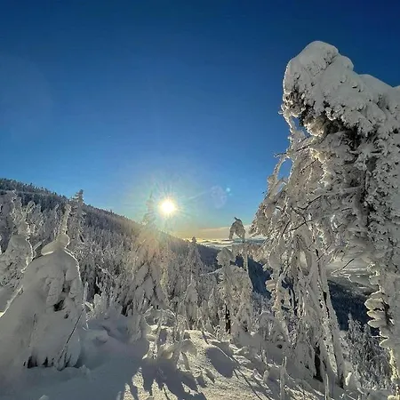 Malinowa Osada 비스와