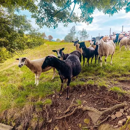 Malinowa Osada * فيسلا