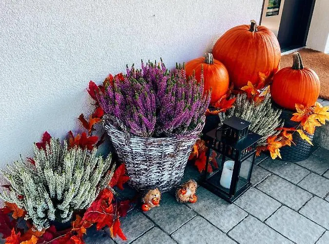 Malinowa Osada Chalet *