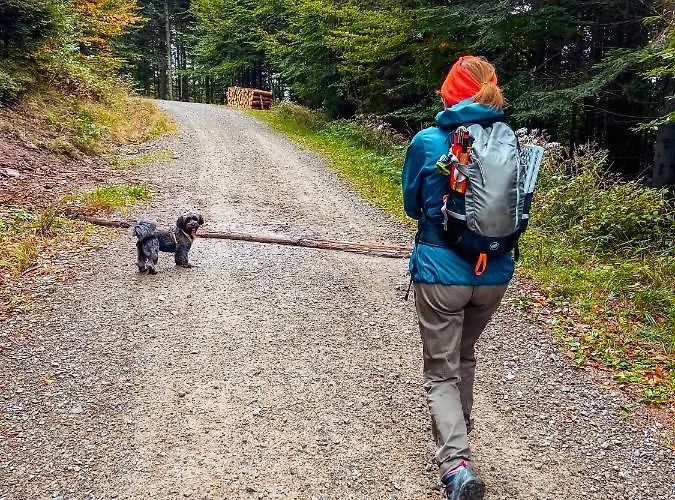 Malinowa Osada * Wisla