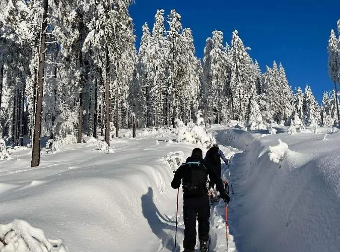 Chalet Malinowa Osada Wisla