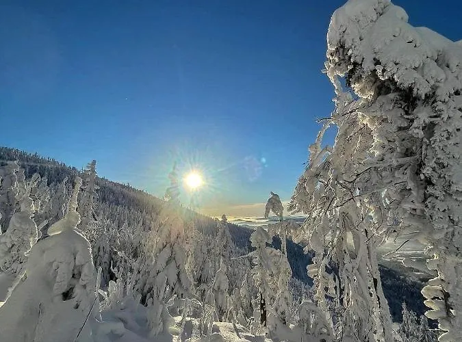 Malinowa Osada Wisla