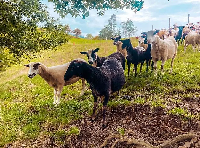 Malinowa Osada * Wisla